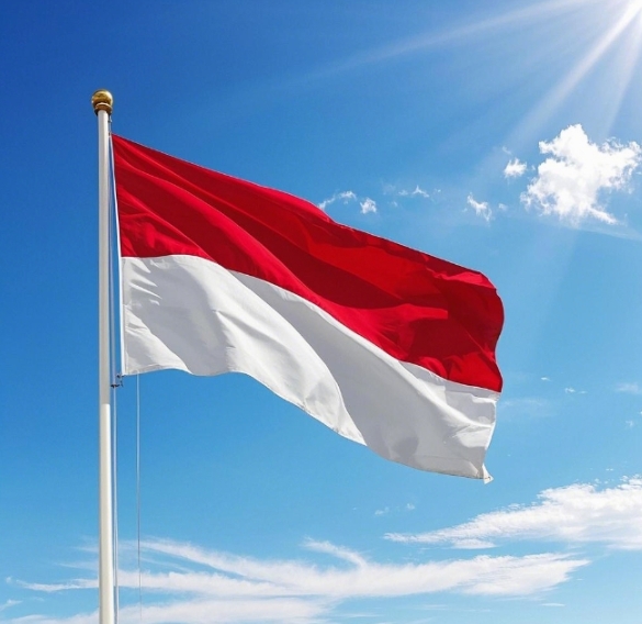 工業(yè)絲路平臺：中印尼共建命運(yùn)共同體的外貿(mào) “引擎”，出口大突破